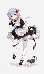 Rule 34 | 1girl, absurdres, apron, black bow, black footwear, bow, braid, braided bangs, breasts, cat, character name, flower, garter straps, genshin impact, green eyes, highres, lace, lace-trimmed legwear, lace trim, letter, looking at viewer, maid, maid apron, mary janes, noelle (genshin impact), open mouth, red flower, shoes, short hair, simple background, small breasts, solo, thighhighs, white hair, white thighhighs, yajuu