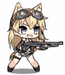 Rule 34 | 1girl, american flag legwear, animal ears, animated, animated gif, blonde hair, blue eyes, boots, bra, dog ears, dog girl, dog tail, fingerless gloves, full body, girls&#039; frontline, gloves, goggles, goggles on head, gun, halterneck, jacket, leather, leather jacket, lowres, m500 (girls&#039; frontline), reloading, shield, short shorts, shorts, shotgun, shotgun shell, simple background, solo, standing, tail, underwear, weapon, white background