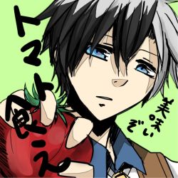 Rule 34 | 1boy, blue eyes, green background, ludger will kresnik, multicolored hair, necktie, short hair, simple background, tales of (series), tales of xillia, tales of xillia 2, tomato