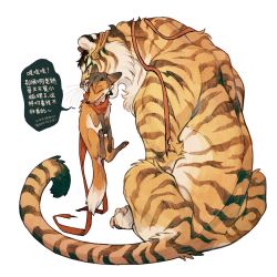 Rule 34 | 2boys, animal, animal focus, animalization, brown fur, chinese commentary, chinese text, claws, fox, full body, han wenqing, highres, holding, holding animal, jewelry, juanmao, mouth hold, multiple boys, no humans, orange fur, original, red scarf, scarf, simple background, solo, speech bubble, sweatdrop, tiger, translated, white background, ye xiu