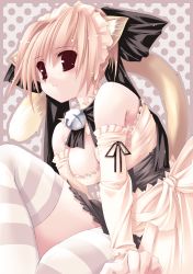 Rule 34 | animal ears, apron, bell, blonde hair, bow, brown eyes, cat ears, cat tail, collar, dress, gloves, guilty troop factory, highres, jian, maid, maid apron, ribbon, short hair, smile, solo, tail, thighhighs, uniform