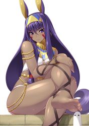Rule 34 | 1girl, animal ears, ankle lace-up, armlet, bare legs, bare shoulders, barefoot, blush, bracelet, closed mouth, creature, cross-laced footwear, crossed legs, dark-skinned female, dark skin, earrings, egyptian, egyptian clothes, expressionless, eyebrows, facepaint, facial mark, fate/grand order, fate (series), feet, hairband, highres, hoop earrings, jewelry, long hair, looking at viewer, medjed (fate), neck ring, nitocris (fate), purple eyes, purple hair, rabbit ears, revealing clothes, ruton-niki, shaded face, shiny skin, sidelocks, sitting, soles, solo, toenails, toes, very long hair, white background