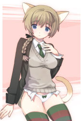 Rule 34 | 1girl, animal ears, blue eyes, bow, bow panties, braid, brown hair, cat ears, cat tail, hair over shoulder, lynette bishop, multicolored clothes, multicolored legwear, necktie, panties, single braid, solo, strike witches, striped clothes, striped thighhighs, sweater vest, tail, thighhighs, underwear, world witches series, yurizuka (sergeant heart)