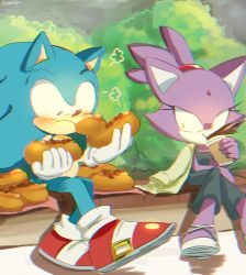 Rule 34 | 1boy, 1girl, blank eyes, blaze the cat, blush, chili dog, coffee cup, cup, disposable cup, dress, eating, food, furry, furry female, furry male, gloves, holding, holding food, hot dog, jacket, shoes, sitting, sneakers, sonic (series), sonic the hedgehog, tondamanuke, white footwear, white gloves, yellow eyes