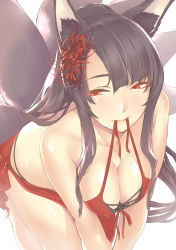 Rule 34 | 1girl, akagi (azur lane), akagi (paradise amaryllis) (azur lane), all fours, animal ears, azur lane, bare shoulders, bikini, black hair, breasts, cleavage, commentary request, flower, fox ears, fox tail, front-tie bikini top, front-tie top, hair flower, hair ornament, highres, large breasts, long hair, looking at viewer, mouth hold, multiple tails, nukkoru, red bikini, red eyes, ribbon, ribbon in mouth, shiny skin, simple background, swimsuit, tail, white background