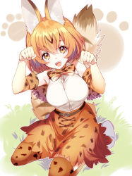 Rule 34 | 10s, 1girl, animal ears, bad id, bad pixiv id, belt, blonde hair, bow, bowtie, breasts, cat ears, cat tail, elbow gloves, fangs, gloves, kemono friends, kneeling, large breasts, looking at viewer, nochita shin, open mouth, paw pose, paw print, serval (kemono friends), serval print, serval tail, shirt, shoes, short hair, skirt, sleeveless, sleeveless shirt, smile, solo, tail, thighhighs, white footwear, white shirt