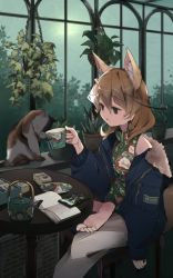 Rule 34 | 1girl, alternate costume, animal ear fluff, animal ears, barefoot, blonde hair, blue jacket, book, casual, cat, cellphone, chinese clothes, commentary request, cup, earrings, extra ears, fennec (kemono friends), floral print, fox ears, fox girl, fox tail, green shirt, high collar, highres, jacket, jewelry, kemono friends, long sleeves, nanana (nanana iz), pants, phone, shirt, short hair, sitting, smartphone, solo, tail, teacup, white pants