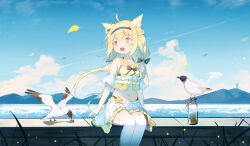 Rule 34 | 1girl, absurdres, ahoge, animal ear fluff, animal ears, bare shoulders, bird, black bow, black hairband, blonde hair, blue sky, blush, bow, cat ears, cat girl, cloud, commission, crop top, denghuo ju (vtuber), detached sleeves, fang, hair between eyes, hair bow, hairband, heterochromia, highres, indie virtual youtuber, leilin, looking to the side, low twintails, miniskirt, navel, open mouth, orange eyes, outdoors, pleated skirt, red eyes, second-party source, short sleeves, sitting, skin fang, skirt, sky, solo, thighhighs, twintails, white thighhighs