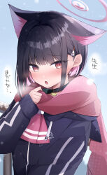 Rule 34 | 1girl, :o, absurdres, animal ear fluff, animal ears, ascot, black hair, black jacket, blue archive, blue sky, blush, breath, cat choker, cat ears, choker, colored inner hair, commentary request, drawstring, futagoma, hair ornament, hairclip, halo, highres, hood, hood down, jacket, kazusa (blue archive), long sleeves, looking at viewer, multicolored hair, open mouth, outdoors, pink ascot, pink hair, pink halo, pink scarf, red eyes, scarf, short hair, sidelocks, sky, sleeves past wrists, solo, translation request, upper body
