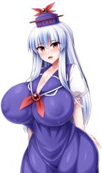 Rule 34 | 1girl, blue dress, blue hair, blue headwear, breasts, cleavage, covered erect nipples, cowboy shot, dress, highres, huge breasts, kamishirasawa keine, long hair, looking at viewer, monaka (gatinemiku), multicolored hair, open mouth, puffy short sleeves, puffy sleeves, red eyes, short sleeves, simple background, smile, solo, standing, sweat, touhou, two-tone hair, white background, white hair