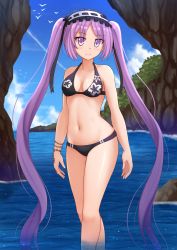 Rule 34 | 1girl, arms at sides, bare arms, bare shoulders, bikini, bird, black bikini, bracelet, breasts, cleavage, cliff, closed mouth, collarbone, euryale (fate), fate/grand order, fate (series), feet out of frame, floral print, highres, horizon, jewelry, kazenokaze, long hair, looking at viewer, navel, ocean, parted bangs, pink eyes, pink hair, print bikini, ribbon trim, shiny skin, small breasts, smile, solo, standing, stomach, swimsuit, very long hair, wading, water