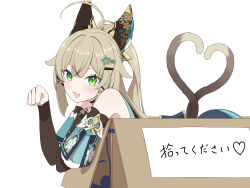 Rule 34 | 1girl, 4 m lacra, :3, ahoge, animal ears, blush, box, brown hair, cardboard box, cat tail, claw pose, detached sleeves, double-parted bangs, fake animal ears, genshin impact, green eyes, hair ornament, hairclip, heart, heart tail, highres, in box, in container, kirara (genshin impact), long hair, looking at viewer, multiple tails, open mouth, simple background, slit pupils, solo, star (symbol), star hair ornament, tail, two tails, white background