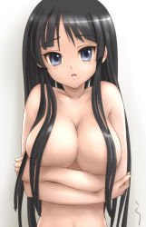 Rule 34 | 00s, 1girl, akiyama mio, black hair, blue eyes, blunt bangs, breast hold, breasts, censored, completely nude, convenient censoring, crossed arms, female focus, hair censor, hair over breasts, hime cut, k-on!, large breasts, long hair, nude, rasukaru, solo, topless frame, upper body