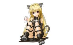 Rule 34 | 00s, :p, animal ears, arm support, bare shoulders, belt, blonde hair, boots, bottle, cape, cat ears, cat tail, detached sleeves, highres, konjiki no yami, long hair, milk, milk bottle, panties, red eyes, sitting, solo, tail, thigh strap, to love-ru, tongue, tongue out, toshi (anime coloring), underwear, very long hair, white panties