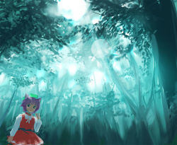 Rule 34 | 1girl, animal ears, cat ears, cat girl, chen, dress, female focus, forest, nature, outdoors, plant, scenery, solo, takashima, touhou
