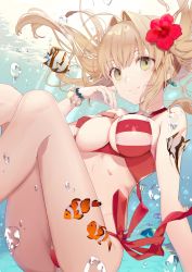 Rule 34 | 1girl, ahoge, air bubble, bead bracelet, beads, bikini, blonde hair, bracelet, breasts, bubble, cleavage, closed mouth, clownfish, commentary request, criss-cross halter, earrings, fate/grand order, fate (series), fish, floating hair, flower, hair between eyes, hair flower, hair ornament, halterneck, jewelry, light rays, looking at viewer, medium breasts, medium hair, nero claudius (fate), nero claudius (fate) (all), nero claudius (swimsuit caster) (fate), red bikini, side-tie bikini bottom, smile, solo, striped bikini, striped clothes, submerged, sunlight, swimsuit, underwater, water, yellow eyes, yukisame