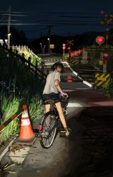 Rule 34 | 1girl, absurdres, bandaid, bandaid on arm, barefoot sandals (jewelry), bicycle, black hair, black shorts, blush, bracelet, closed eyes, commentary request, facing back, facing viewer, fence, floating hair, from behind, glowstick, grass, highres, jewelry, lamppost, minahamu, night, open mouth, original, outdoors, power lines, railroad crossing, railroad signal, railroad tracks, riding, riding bicycle, road, sandals, scenery, shirt, short hair, short sleeves, shorts, smile, solo, t-shirt, tall grass, traffic barrier, traffic cone, utility pole, white shirt, wide shot