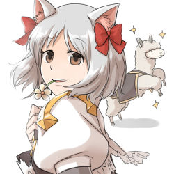 Rule 34 | 1girl, alpaca, animal ears, arch bishop (ragnarok online), bow, brown eyes, cat ears, commentary request, dress, female focus, flower, flower in mouth, grey hair, hair bow, juliet sleeves, long sleeves, looking at viewer, looking to the side, natsuya (kuttuki), open mouth, puffy sleeves, ragnarok online, red bow, short hair, simple background, smile, solo, sparkle, two-tone dress, upper body, white background, white dress, white flower