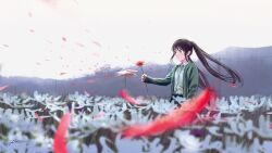 Rule 34 | 1girl, 1other, blurry, blurry background, blurry foreground, brown eyes, brown hair, cardigan, closed mouth, collared shirt, disembodied hand, dissolving, dress shirt, field, floating hair, flower, flower field, fracoco, from side, green cardigan, highres, holding, holding flower, long hair, long sleeves, original, outdoors, petals, power lines, shirt, sidelocks, signature, spider lily, twintails, very long hair, white shirt, wide-eyed, wide shot