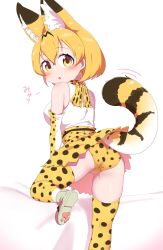 Rule 34 | 1girl, absurdres, ass, blush, bow, bowtie, breasts, chis (js60216), detached sleeves, dress, extra ears, fur collar, gloves, high-waist skirt, highres, kemono friends, looking at viewer, looking back, medium breasts, orange bow, orange bowtie, panties, print bow, print bowtie, print gloves, print panties, print skirt, serval (kemono friends), serval print, short hair, skirt, sleeveless, sleeveless dress, solo, striped tail, tail, thighhighs, underwear, white bow, white bowtie