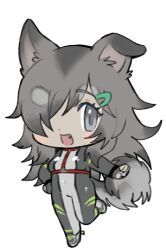 Rule 34 | 1girl, animal ears, blush stickers, bodysuit, borrowed character, chest harness, chibi, colored tips, dog ears, dog girl, dog tail, ear down, fang, full body, gradient eyes, grey bodysuit, grey eyes, grey footwear, grey hair, hair over one eye, hand on own hip, harness, lapithai, long hair, looking at viewer, lowres, multicolored eyes, multicolored hair, open mouth, original, pale skin, simple background, solo, standing, standing on one leg, tail, transparent background