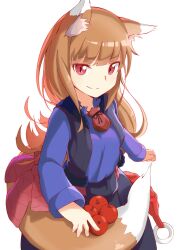 Rule 34 | 1girl, animal ear fluff, animal ears, apple, blue skirt, blue vest, brown hair, brown tail, closed mouth, commentary request, eyelashes, feet out of frame, food, fruit, highres, holo, long hair, long sleeves, looking at viewer, pekeponn, pouch, red eyes, sidelocks, simple background, skirt, smile, solo, spice and wolf, standing, tail, vest, white background, wolf ears, wolf girl, wolf tail
