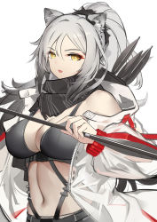 Rule 34 | 1girl, animal ear fluff, animal ears, arknights, arrow (projectile), black scarf, breasts, cat ears, cleavage, commentary request, crop top, ear piercing, fingernails, grey shorts, hair between eyes, high ponytail, highres, holding, holding arrow, jacket, liu lan, long hair, long sleeves, looking at viewer, medium breasts, navel, off shoulder, open clothes, open jacket, parted lips, piercing, ponytail, puffy long sleeves, puffy sleeves, quiver, scarf, schwarz (arknights), see-through, shorts, silver hair, simple background, solo, upper body, very long hair, white background, yellow eyes
