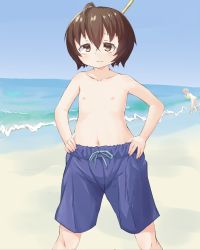 Rule 34 | 2girls, absurdres, ahoge, artist request, beach, blue male swimwear, blue sky, blue swim trunks, breasts, brown eyes, brown hair, character request, copyright request, day, drawstring, female focus, flat chest, highres, looking at viewer, male swimwear, male swimwear challenge, multiple girls, nipples, ocean, outdoors, sand, short hair, sky, source request, standing, swim trunks, swimsuit, topless, water