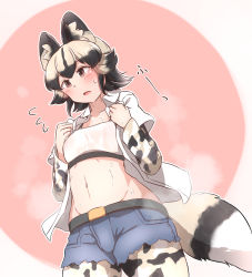 Rule 34 | 1girl, african wild dog (kemono friends), african wild dog print, animal ears, animal print, belt, black hair, blonde hair, blush, breasts, brown eyes, collared shirt, cowboy shot, cutoffs, denka (denka ilst), dog ears, dog girl, dog tail, dutch angle, flying sweatdrops, from below, hands up, highres, kemono friends, layered sleeves, long sleeves, looking afar, medium breasts, medium hair, multicolored hair, navel, open clothes, open mouth, open shirt, pantyhose, pantyhose under shorts, print pantyhose, print sleeves, see-through, shirt, short over long sleeves, short shorts, short sleeves, shorts, sidelocks, solo, sports bra, steaming body, stomach, sweat, tail, undressing, wet, wet clothes, white shirt, wing collar