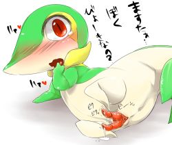 Rule 34 | blush, colored skin, creatures (company), cum, extra penises, furry, furry male, game freak, gen 5 pokemon, green skin, heart, male focus, mizone, nintendo, no humans, open mouth, penis, pokemon, pokemon (creature), red eyes, simple background, snivy, solo, translation request