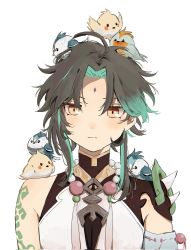 Rule 34 | 1boy, ahoge, animal, animal on head, animal on shoulder, arm tattoo, bead necklace, beads, bird, bird on head, bird on shoulder, black hair, commentary, expressionless, facial mark, forehead mark, g 8291, genshin impact, green hair, highres, jewelry, looking at viewer, male focus, multicolored hair, necklace, on head, parted bangs, portrait, short hair, simple background, single bare shoulder, solo, symbol-only commentary, tattoo, two-tone hair, white background, xiao (genshin impact), yellow eyes