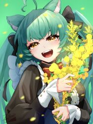 Rule 34 | 1girl, ahoge, animal ears, cat ears, cat girl, commentary, english commentary, flimsieeeee art, flower, girl dm, girl dm (magical girl), green background, green hair, heart, heart ahoge, highres, holding, holding flower, indie virtual youtuber, long sleeves, looking at viewer, open mouth, simple background, solo, teeth, tongue, twintails, upper body, virtual youtuber, yellow eyes