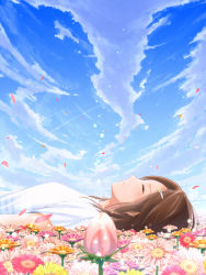 Rule 34 | 1girl, bad id, bad pixiv id, blush, brown hair, cloud, day, closed eyes, field, flower, flower field, from side, hair ornament, hairclip, lying, minamito, on back, original, outdoors, petals, profile, short sleeves, sky, solo