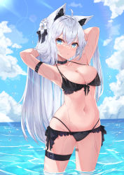 Rule 34 | 1girl, absurdres, ahoge, animal ears, arm belt, armpits, arms behind head, arms up, barcode, barcode tattoo, bare shoulders, bikini, black bikini, black choker, blue eyes, bow, breasts, bust cup, choker, cleavage, cloud, collarbone, day, earrings, flower, fox ears, frilled bikini, frills, hair bow, hair flower, hair ornament, halterneck, halterneck, highleg, highleg bikini, highres, jewelry, leg tattoo, long hair, looking at viewer, medium breasts, multi-strapped bikini, navel, o-ring, o-ring bikini, ocean, original, outdoors, parted lips, sky, solo, standing, stomach, string bikini, swimsuit, tattoo, thigh strap, thighs, very long hair, wading, water, wet, white hair, yeosi