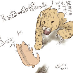 Rule 34 | aitamochi (suita), cat, cheetah, toaru kagaku no railgun, toaru majutsu no index, translation request