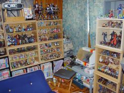 Rule 34 | bookshelf, figure, kamen rider, manga (object), no humans, otaku room, photo (medium), tagme