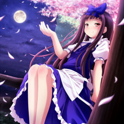 Rule 34 | 1girl, black hair, blush, bow, brown eyes, cherry blossoms, female focus, full moon, in tree, legs, long hair, moon, petals, sitting, sitting in tree, smile, solo, star sapphire, sui. (ayase), touhou, tree, wings