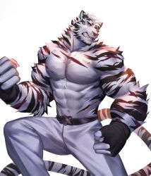 Rule 34 | 1boy, animal ears, arknights, bara, black gloves, blue eyes, clenched teeth, feet out of frame, fingerless gloves, furry, furry male, gloves, highres, large pectorals, looking at viewer, male focus, mountain (arknights), muscular, no nipples, pants, pectorals, scar, scar across eye, scar on face, topless male, short hair, solo, teeth, tiger boy, tiger ears, tiger stripes, white background, white fur, white hair, white pants, yuuko (renhaowei2010)