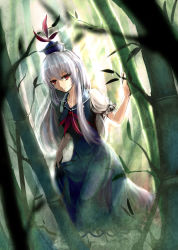 Rule 34 | 1girl, absurdres, bamboo, bamboo forest, blue hair, dress, female focus, forest, hat, highres, kamishirasawa keine, long hair, nature, outdoors, plant, red eyes, sola7764, solo, touhou, very long hair