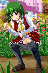 Rule 34 | 1girl, ascot, black panties, black thighhighs, blush, breasts, cleft of venus, clothes lift, female focus, flower, green hair, have to pee, homare (suzu no oka), kazami yuuka, loafers, medium breasts, panties, panty pull, plaid, plaid skirt, plaid vest, pussy, red eyes, shoes, short hair, skirt, skirt lift, skirt set, solo, spread legs, squatting, sunflower, thighhighs, touhou, translation request, uncensored, underwear, vest