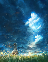 Rule 34 | 1girl, bird, cloud, dress, grass, leaf, long hair, original, sakimori (hououbds), scenery, sky