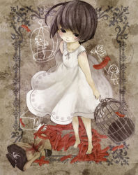 Rule 34 | 1girl, barefoot, birdcage, black eyes, blood, blush, bob cut, brown hair, cage, child, dress, edo., eleanor (rule of rose), feathers, feet, full body, holding, looking at viewer, ribbon, rule of rose, short hair, smile, solo, standing, white dress