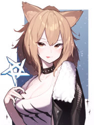 Rule 34 | 1girl, :p, animal ears, arknights, beudelb, black collar, black jacket, black nails, blue background, breasts, brown eyes, brown hair, cleavage, collar, fur-trimmed jacket, fur trim, hair between eyes, hand up, highres, jacket, large breasts, leather, leather jacket, lion ears, long hair, looking at viewer, nail polish, open clothes, open jacket, ponytail, siege (arknights), simple background, studded collar, tank top, tongue, tongue out, two-tone background, white background, white tank top