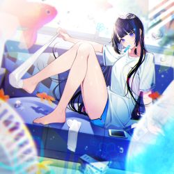Rule 34 | 1girl, album cover, aoi ch., argyle, bare legs, barefoot, black hair, blue eyes, blue shorts, blurry, blurry foreground, breast pocket, cellphone, commentary request, couch, cover, depth of field, feet, fish, food, fuji aoi, goldfish, head tilt, highres, kayahara, knees up, unworn legwear, long hair, looking at viewer, mole, mole under eye, mouth hold, official art, on couch, phone, pillow, pocket, popsicle, removing legwear, shirt, short shorts, short sleeves, shorts, sitting, solo, thighs, tiara, very long hair, virtual youtuber, white legwear, white shirt