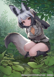 Rule 34 | 1girl, animal ear fluff, animal ears, bat-eared fox (kemono friends), black gloves, blush, breasts, brown eyes, commentary request, copyright notice, extra ears, fox ears, fox tail, full body, gloves, grey hair, kemono friends, large breasts, light smile, looking at viewer, multicolored hair, ne-on, official art, open mouth, outdoors, rain, short hair, solo, squatting, streaked hair, tail, watermark