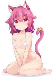 Rule 34 | 1girl, ahoge, animal ears, bare legs, bare shoulders, barefoot, between thighs, bikini, bikini top only, blush, bottomless, breasts, cat ears, cat tail, cleavage, closed mouth, full body, hair between eyes, halterneck, highres, kyuukon (qkonsan), looking at viewer, medium hair, original, pink eyes, pink hair, ribbon, simple background, sitting, small breasts, solo, swimsuit, tail, tail ornament, tail ribbon, wariza, white background, white bikini