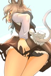 Rule 34 | 1girl, animal ears, ass, black panties, blush, breasts, capelet, from behind, from below, grey hair, hand on own ass, highres, ishikkoro, long sleeves, looking at viewer, looking back, mouse ears, mouse tail, nazrin, necktie, open mouth, panties, pantyshot, profile, red eyes, ribbon, shirt, short hair, simple background, skirt, skirt set, small breasts, solo, tail, thighs, touhou, underwear, upskirt, vest, white shirt