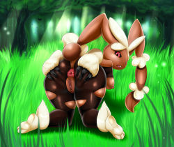 Rule 34 | 1girl, animal ears, anus, ass, ass grab, back, breasts, creatures (company), female focus, forest, furry, furry female, game freak, gen 4 pokemon, grass, huge ass, legs, looking back, lopunny, mega lopunny, mega pokemon, nature, nintendo, nipples, no humans, pokemon, pokemon (creature), pussy, red eyes, uncensored