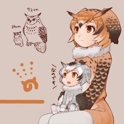 Rule 34 | 10s, 2girls, bird, brown eyes, brown hair, buttons, coat, commentary request, eurasian eagle owl (kemono friends), fur collar, fur trim, grey hair, head wings, japari symbol, kemono friends, multiple girls, nakashima (middle earth), nanodesu (phrase), northern white-faced owl (kemono friends), owl, pantyhose, size comparison, size difference, white hair, white legwear, wings