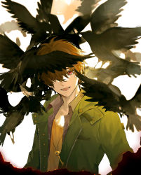 Rule 34 | 1boy, :d, absurdres, bird, brown eyes, brown hair, crow, green jacket, hair over one eye, highres, jacket, jewelry, key, laoyepo, long sleeves, looking at viewer, luke pearce (tears of themis), necklace, open mouth, shirt, short hair, simple background, smile, solo, tears of themis, white background, yellow shirt